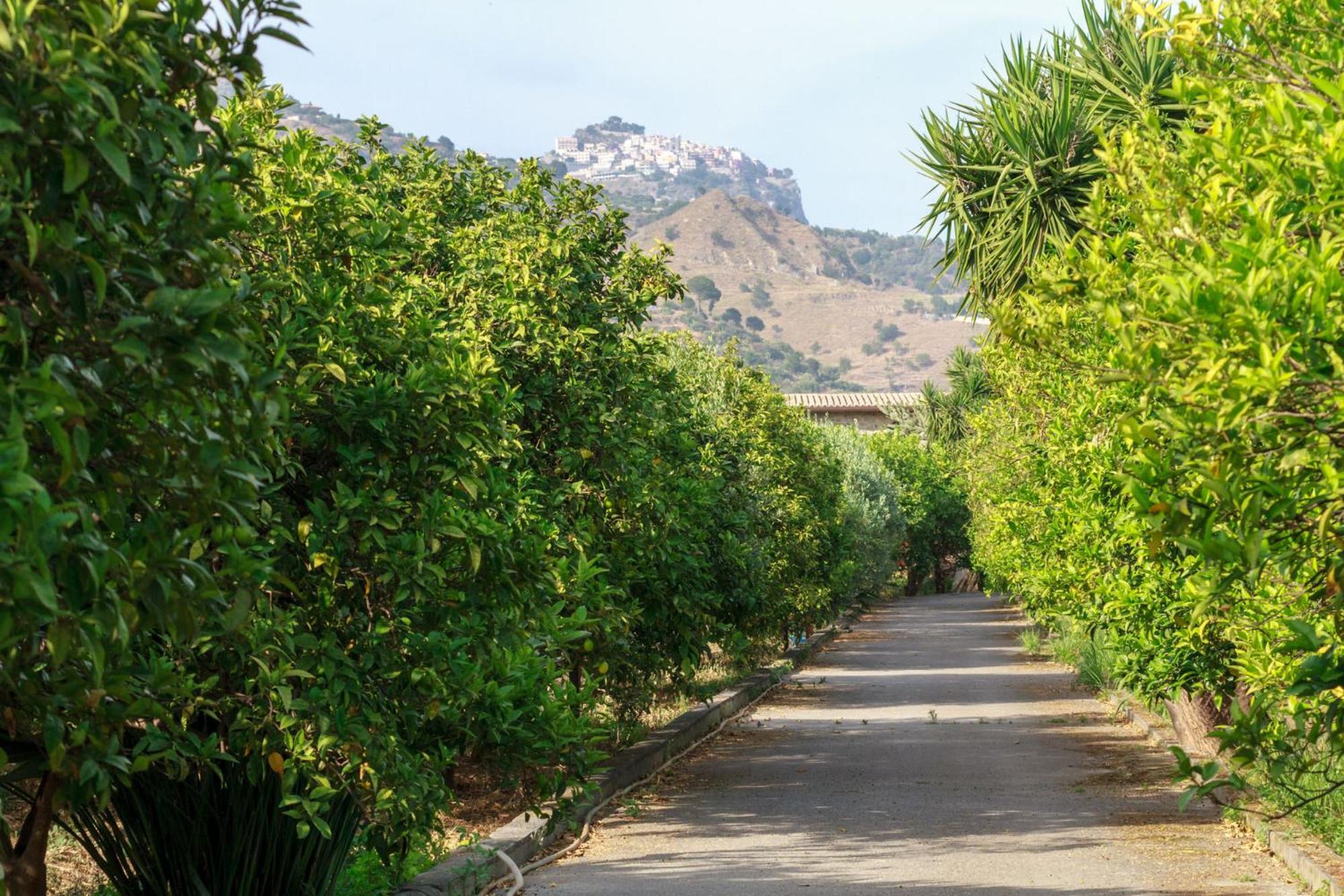 Villa Lumia E Zagara Taormina Exterior foto